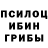 Псилоцибиновые грибы Psilocybine cubensis pankrationii