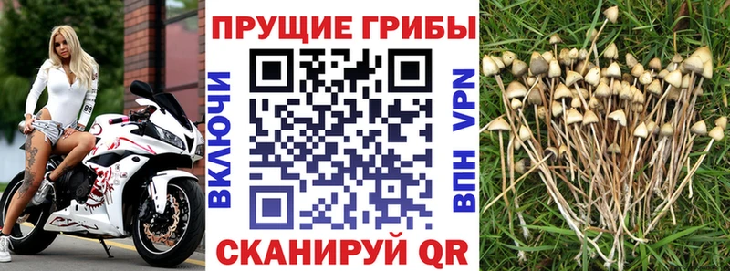 Галлюциногенные грибы мицелий Верещагино
